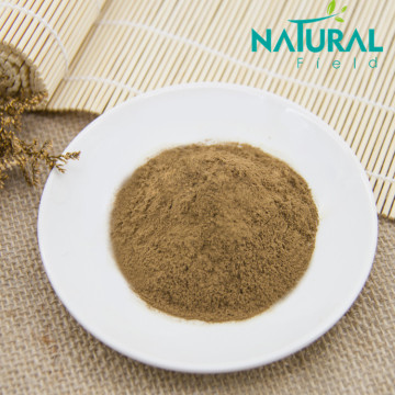 Cosmetic raw material Ginkgo Biloba leaf Extract Powder