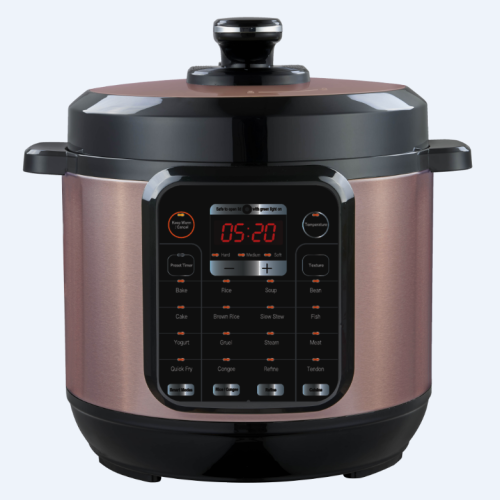 China 8L best automatic electric pressure canner Manufactory