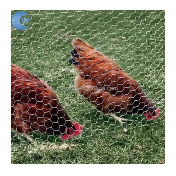 Hexagonal Wire Mesh Weld 13mm 25mm for Chicken Wire