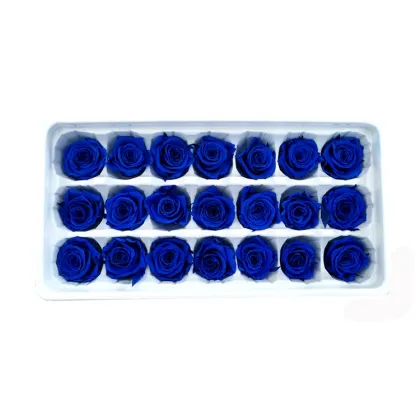 Wholesale Rose Eternelle - Top Seller for Wedding and Home Decoration