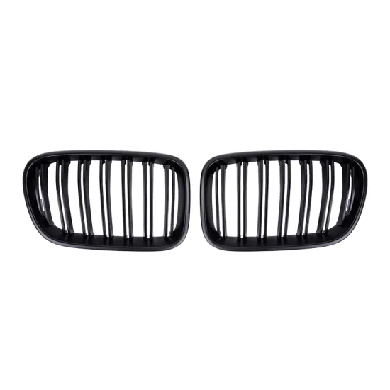 Wholesale Double Salt Grille Car Accessories for F25 X3 2011-2013 Series