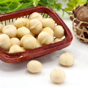 Raw Macadamia nuts with shell and Without shell.