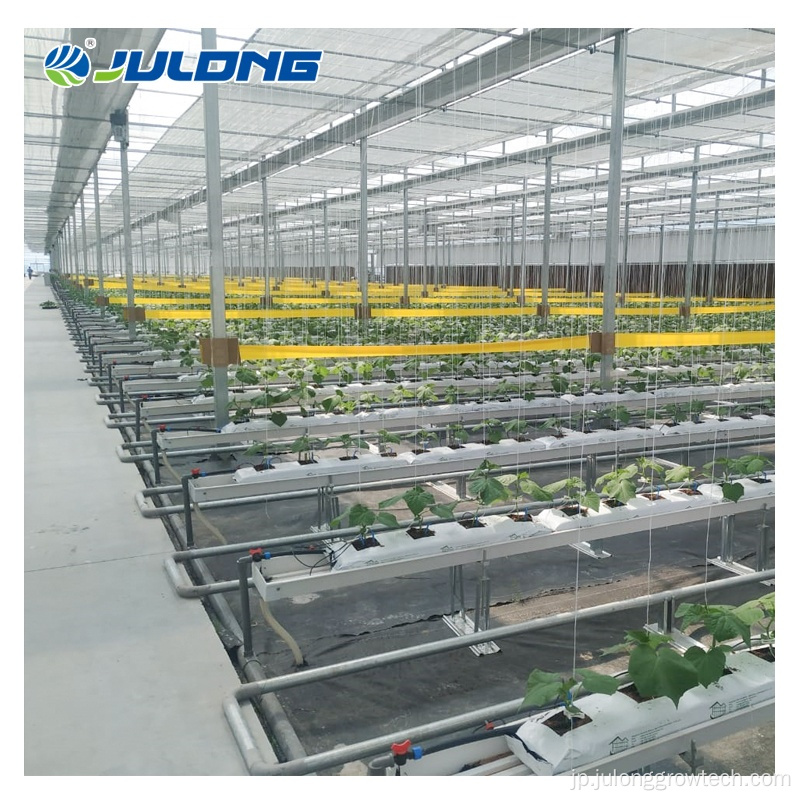 NFT Hydroponic Channel Hydroponic温室機器