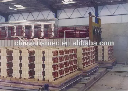 himalayan salt brick