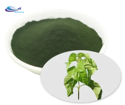 Plant Extract Pure Chlorophyll Powder