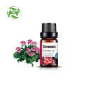 Factory Supply 100% Pure Geranium essential oil