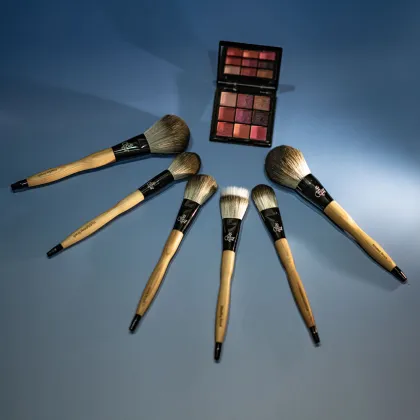 Premium Beauty Brush Kit