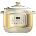 Big Size Series 5.5L dual-hat cooker good quality kitchen electric multi pressure cooker Hot pot Steamer white Factory