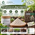 نظرة عامة على مسحوق Streptomyces jingyangensis Microbial لإدارة التربة والريزوسفير