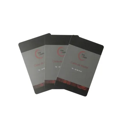 China Manufacturer Cheap PVC Visa Card Printing Services
