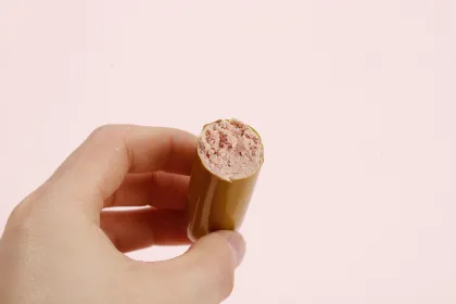 Pet Dog Treats Snacks Pet Dog Sausage Ham