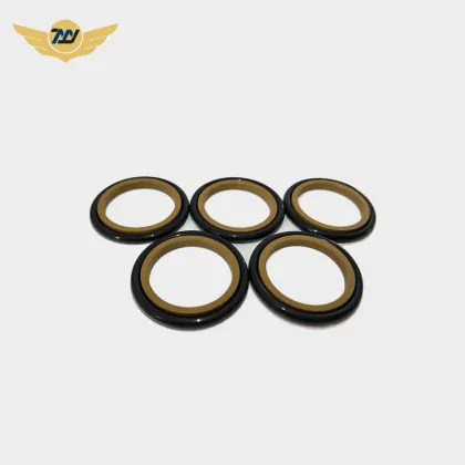 Hydraulic cylinder ptfe piston shaft GSI seals