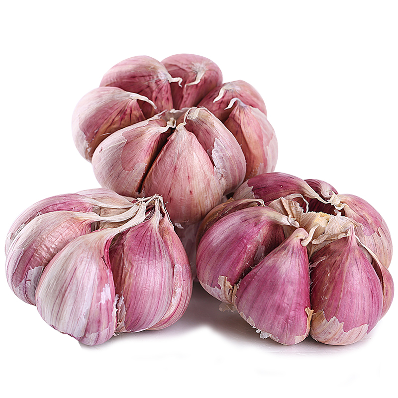 purple garlic