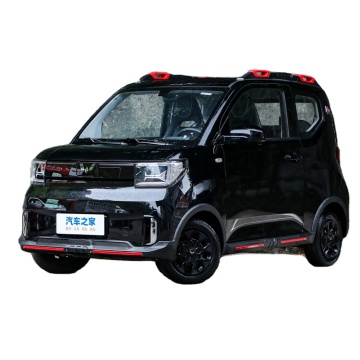 Electric Vehicles: Focus on New Energy, Mini EVs, and Adult-Friendly Models - Case Study: Wuling Hongguang
