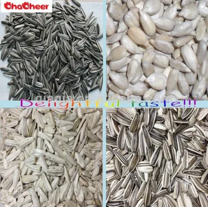 Sun flower seeds for sale