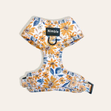 Personalized Reflective Reversible Dog Harness Set - OEM/ODM Available