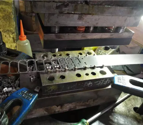 OEM Professional Metal Punching Mould Manufacturer
