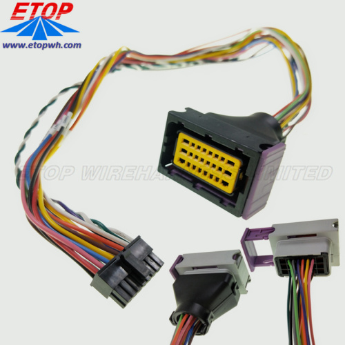 Conjunto de cable de conector ECU personalizado de 24 pines