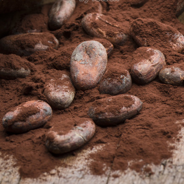 polvo de cacao natural en cartón