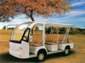 CE goedgekeurde gas sightseeing bus voor Resort Use