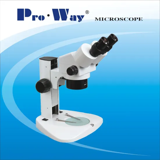 Zoom Binocular Stereo Microscope