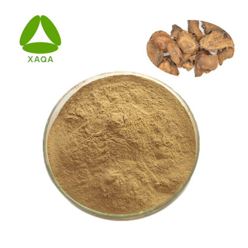 PlantRhizoma Polygonati Extract Plant Extract Rhizoma Polygonati Powder Manufactory