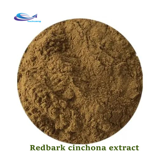 Sale Cinchona Bark Extract Powder 100% Natural