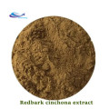 Vente Cinchona Bark Extract Powder 100% naturel