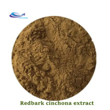 100% Natural Cinchona Bark Extract Powder