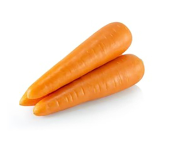 Fresh Baby Carrots for Export Supply