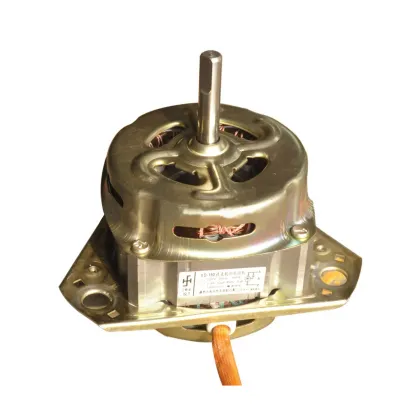 XD150 Washing Machine Motors: BLDC vs AC Induction