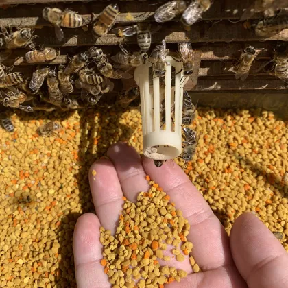 Good Quality New Arrivals High-end Listing Organic Honey Bee Pollen