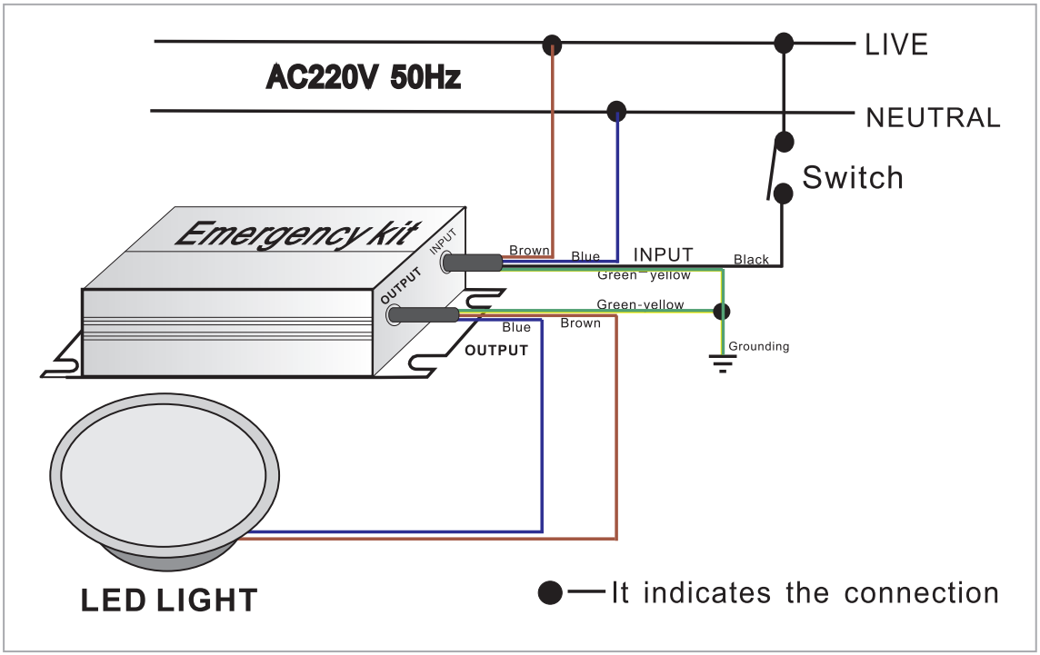 Wiring diagram for LED light with internal driver