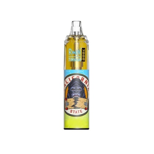 Wholesale RandM Tornado 7000 Puffs Disposable Vape