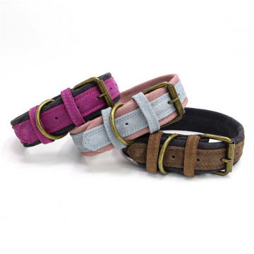 brass fittings pet dog products collar