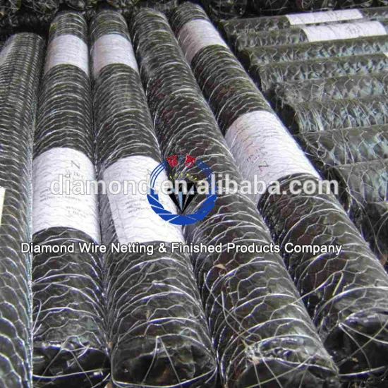 Chicken hexagonal wire mesh/anping hexagonal mesh
