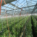 Gancho de tomate de acero galvanizado con cordeles