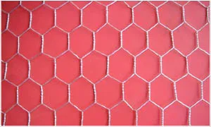 hexagonal mesh