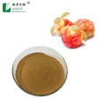 Food Grade Bulk cloudberry extract rubus chamaemorus extract