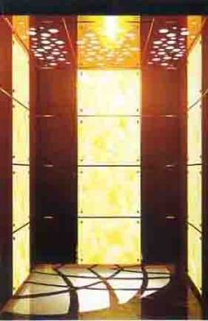 Building Construction Passenger Lift/Elevator (TKJ700/1.0-JXW)