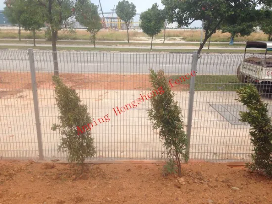 Hot sale Pvc coated welded wire fencing for Singapore