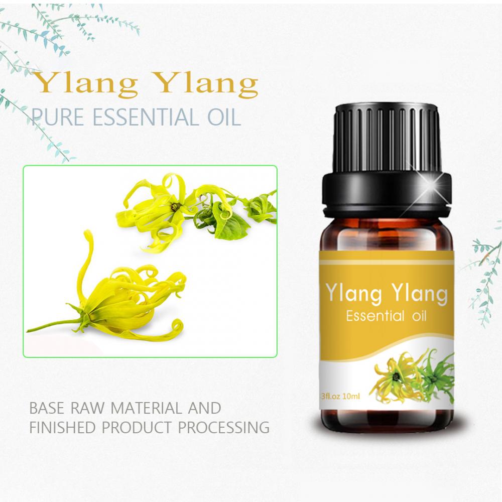 Natural Ylang Ylang Aceite esencial para masaje de aromaterapia