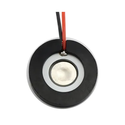 13.8mm Aromatherapy Machine Atomizer Plate