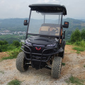 2-seater four-wheel golf cart