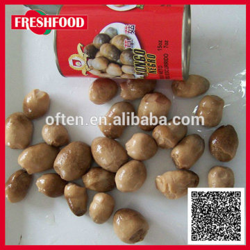 canned mushrooms/canned oyster mushroom/ canned straw mushroom