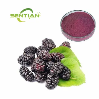 Black Mulberry Extract Anthocyanin