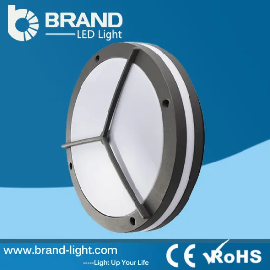 CE RoHS Certificated SMD LED Chips Wall Mounted 230V Outdoor Ceiling Light 30W