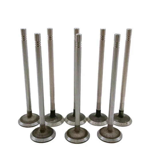 Factory Direct Sale Engine Valves for FIAT DUCAТО (2.3) 504069199 Intake and Exhaust Valves" 

However, considering typical SEO practices and readability, you might want to simplify it:

"FIAT DUCAТО 2.3 Intake & Exhaust Valves - Factory Direct Sale