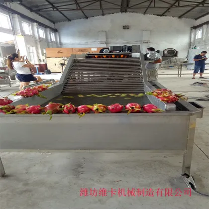 Shandong Zhucheng Vegetable Fruit Washing Drying Line