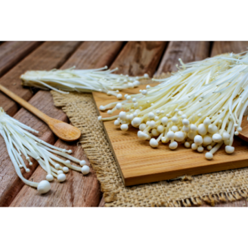 Natural Mushroom Flammulina Velutipes Extract Enoki Organic Extract